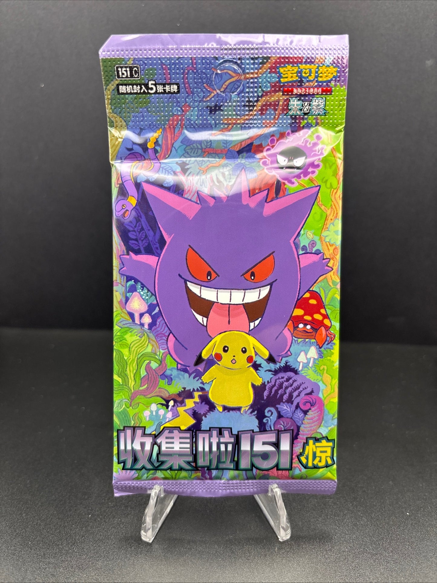 Eevee Mystery Bags with pack